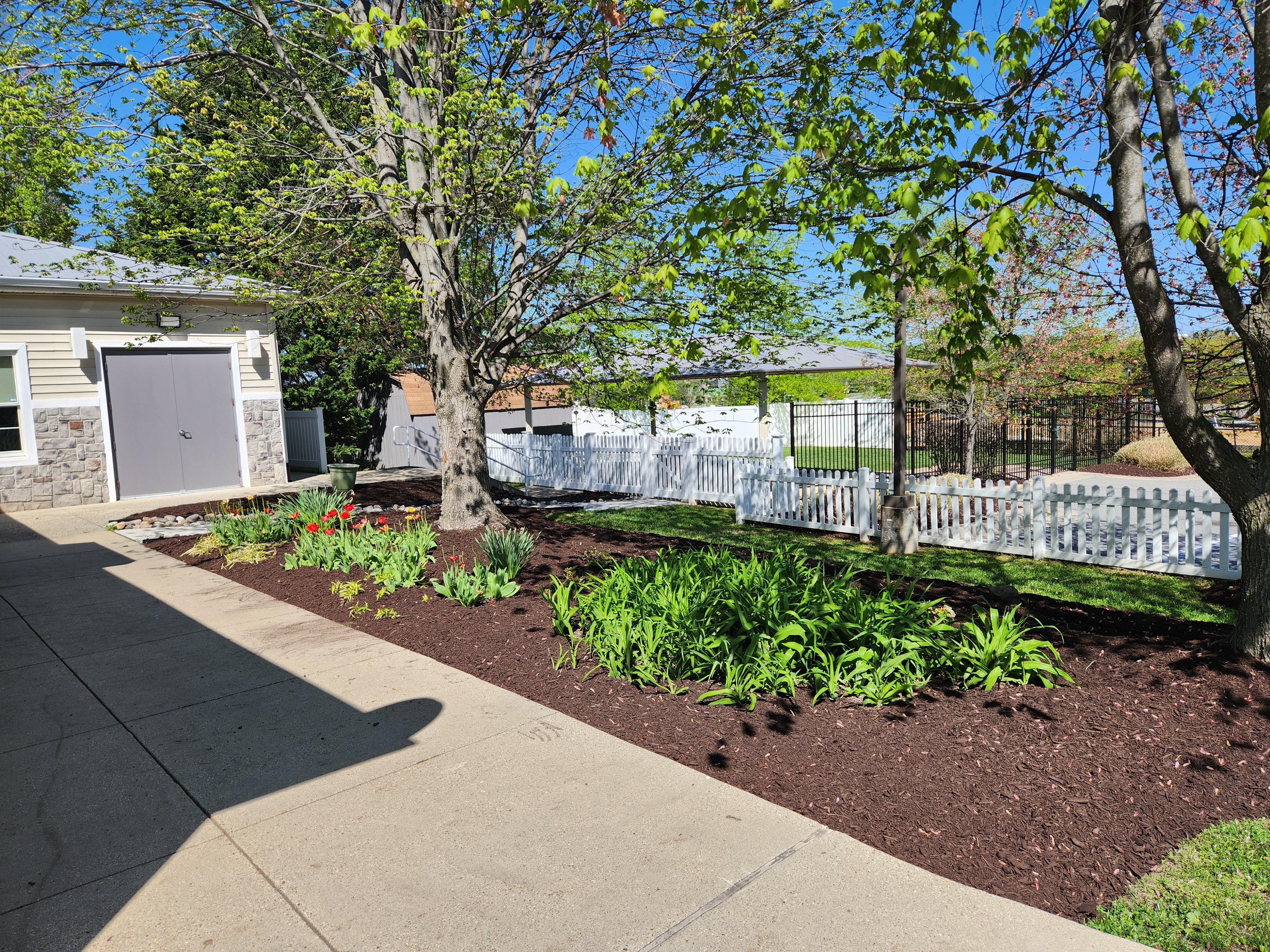 Mulch Installation With Plant Installation