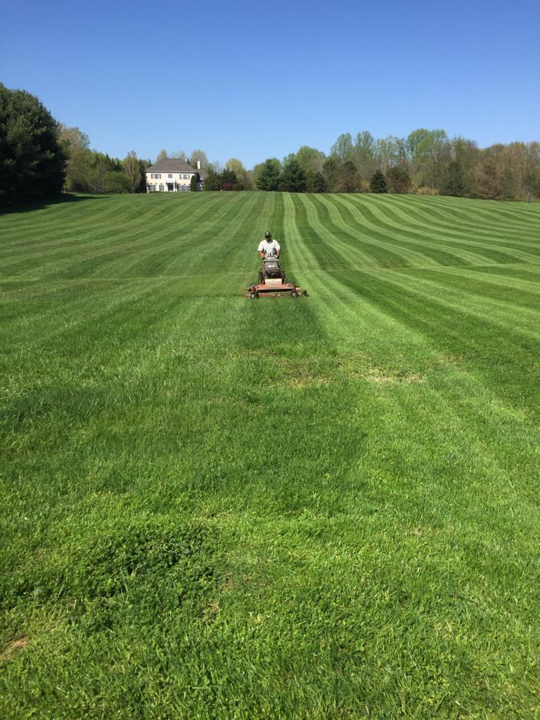 Description of the second image