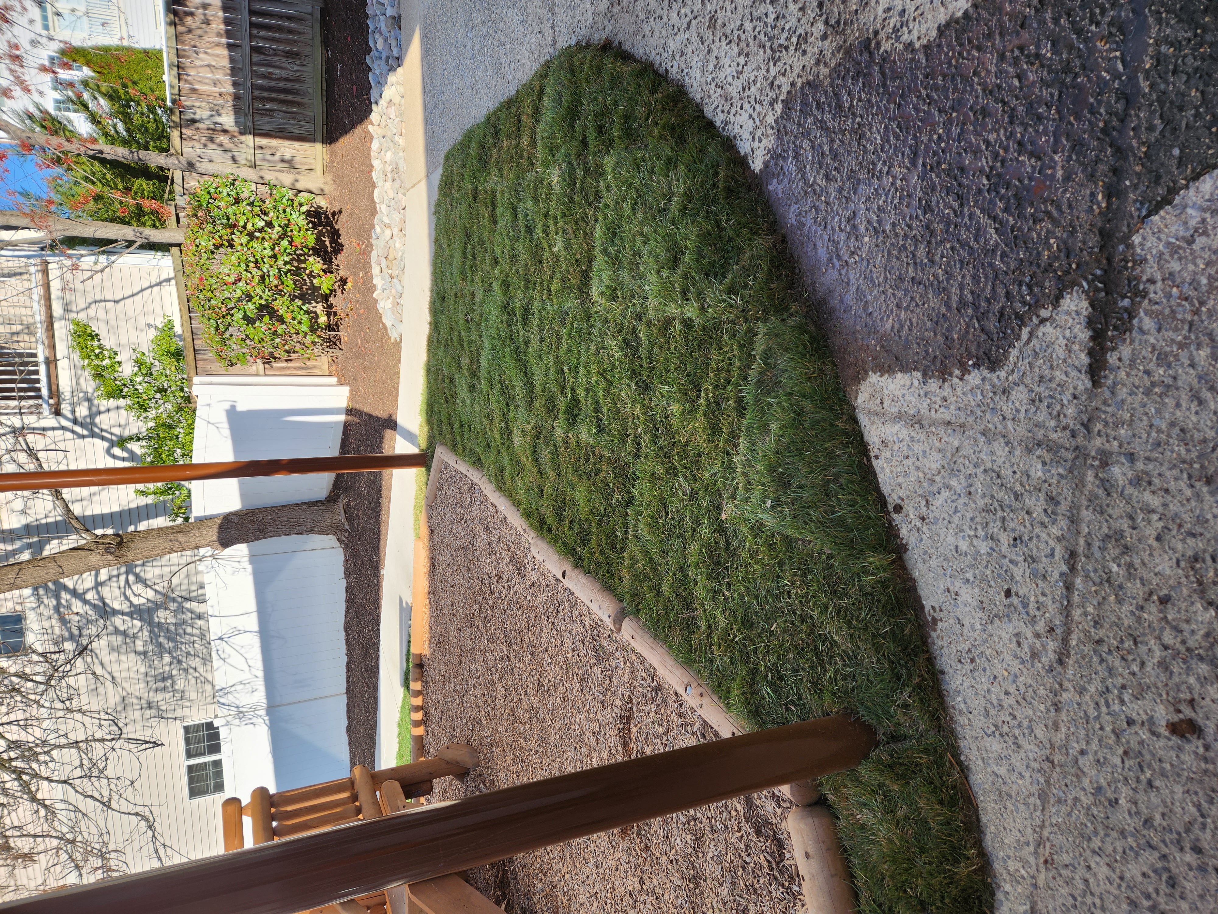 Sod Installation