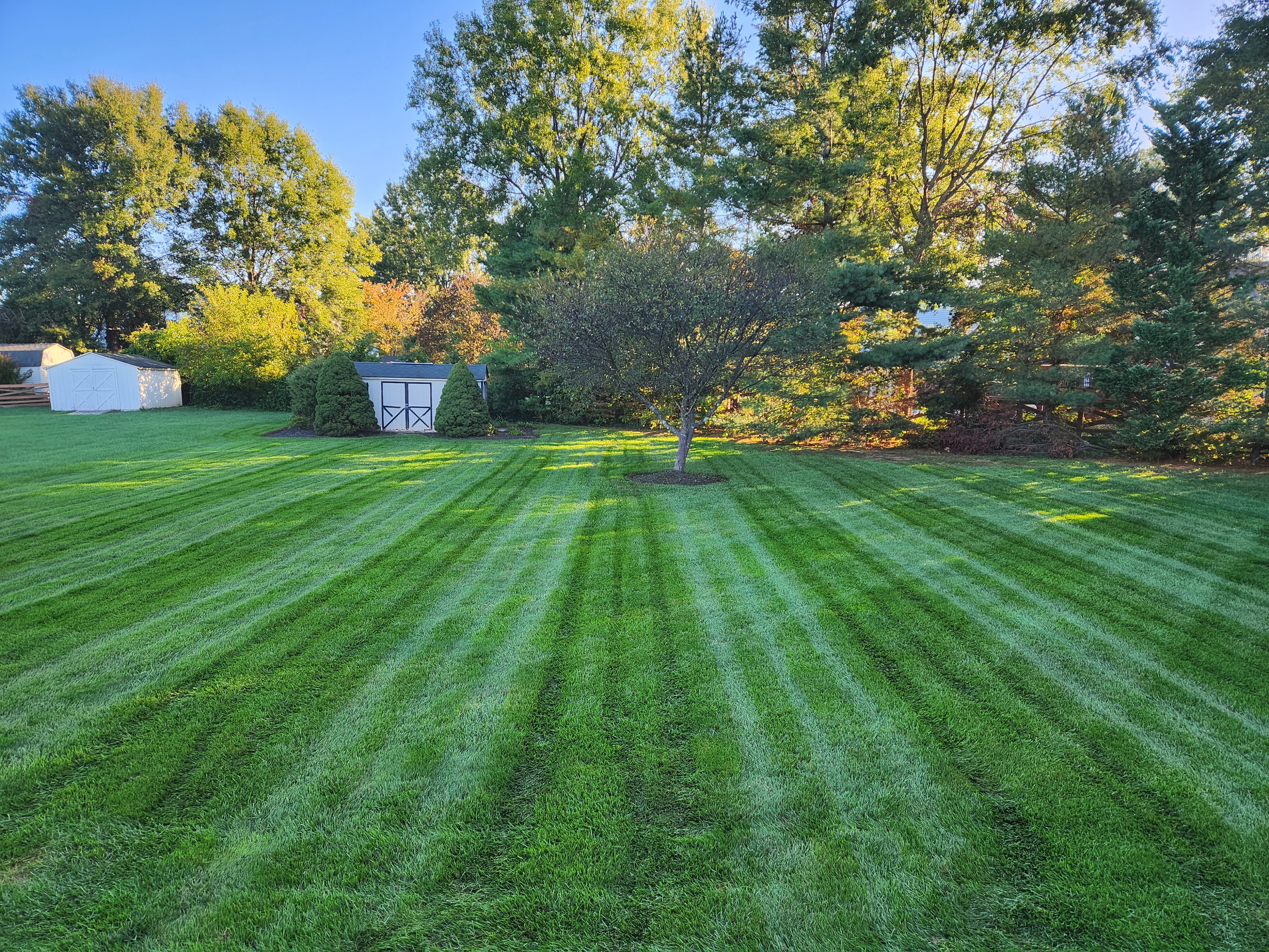 6-Step Weed Control & Fertilizer Program for Montgomery County Lawns