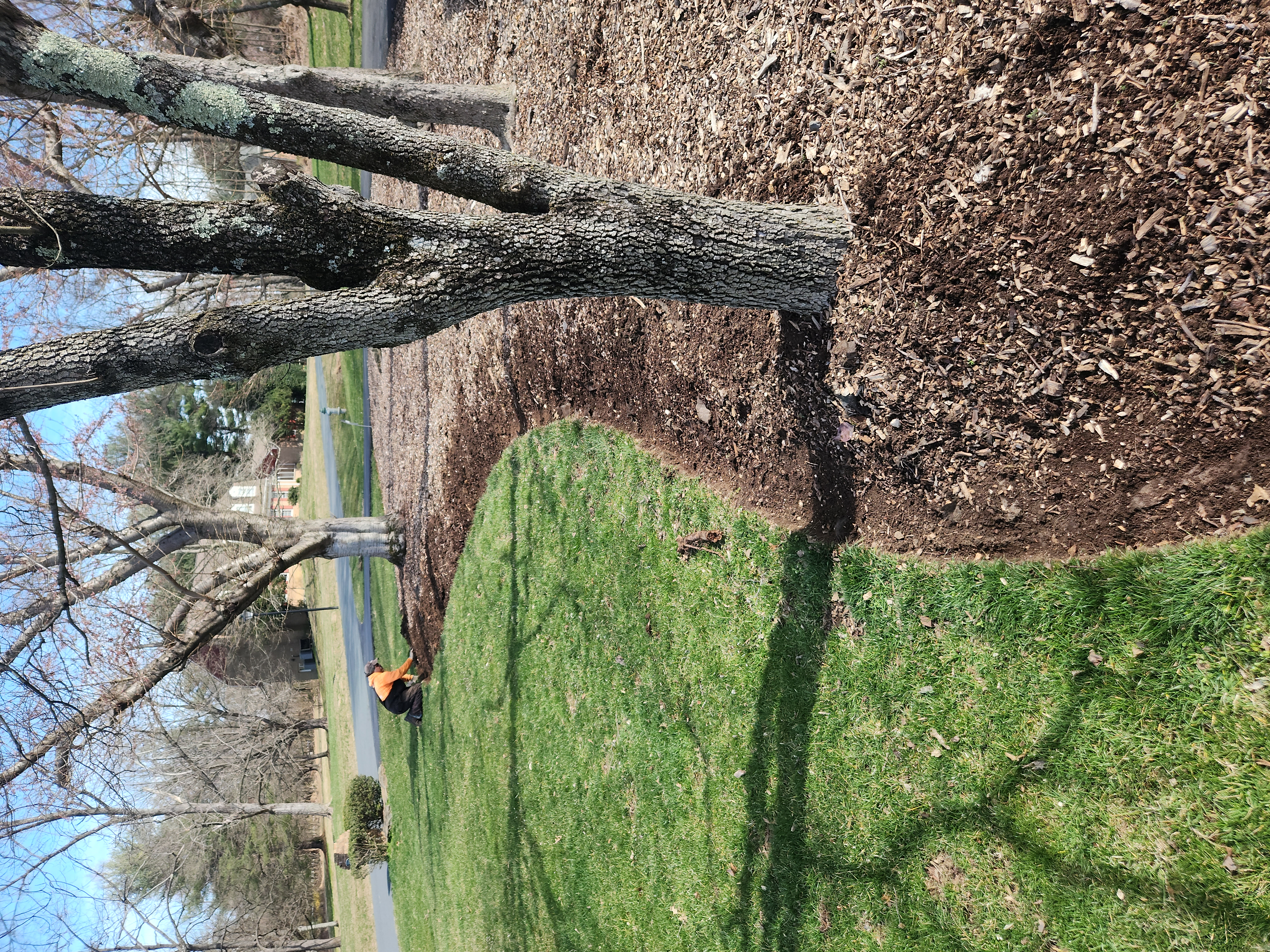Hand Weeding for Mulch Beds