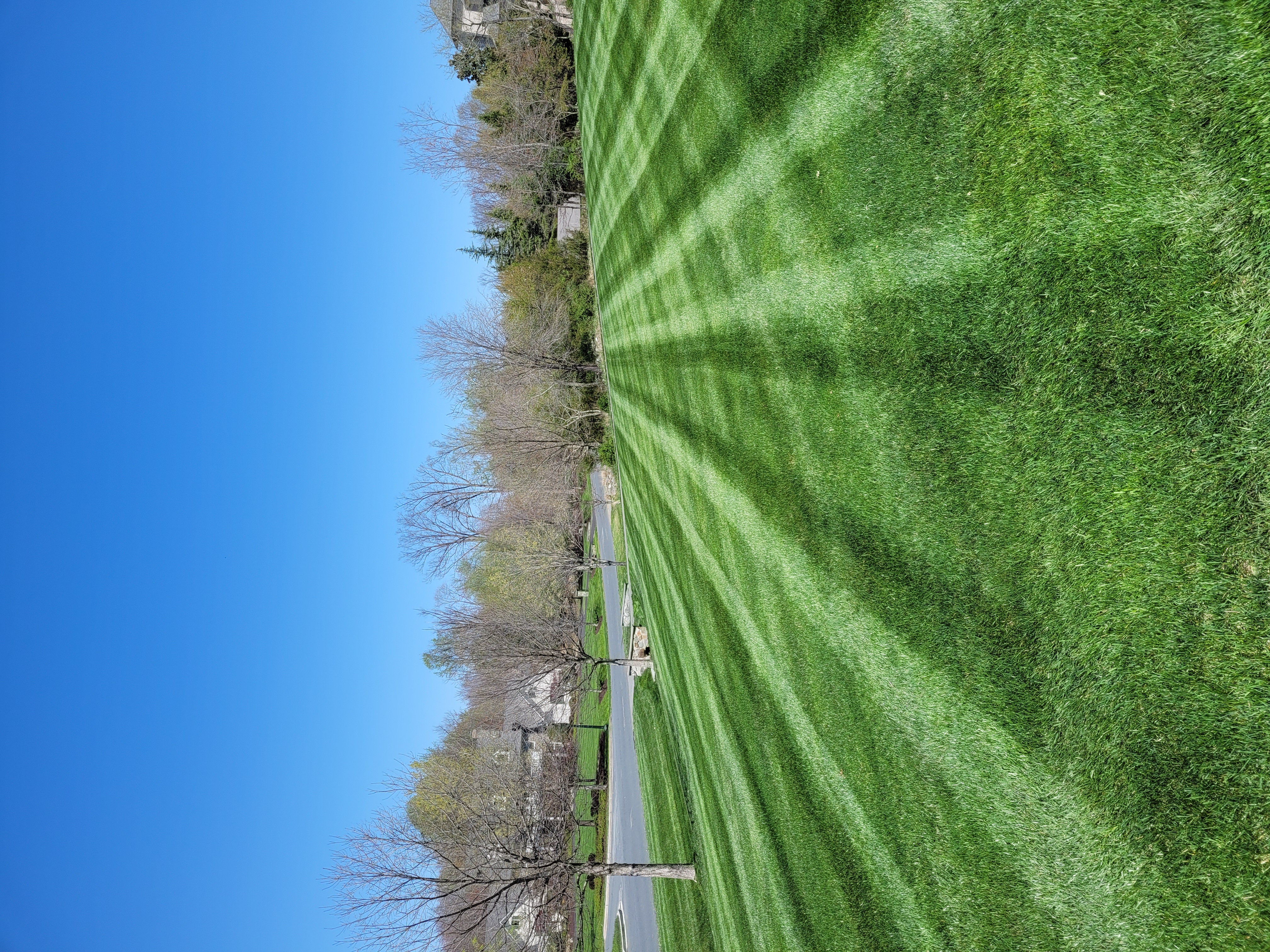 Beautiful lawn